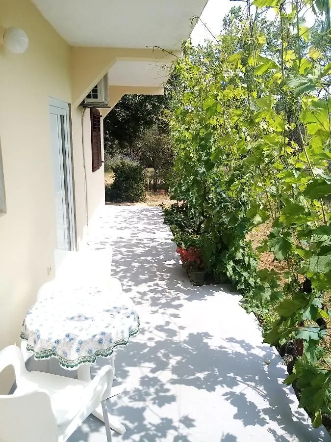 Apartments Bozito Nin